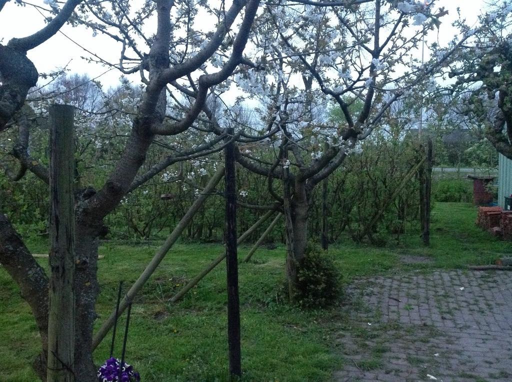 Bed and Breakfast Vakantiewoning De Oude Rijn Хармелен Экстерьер фото